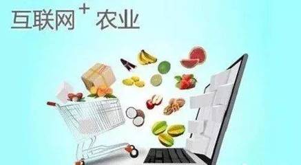 融合食品互聯網 休閑農業的13種創意新模式探索